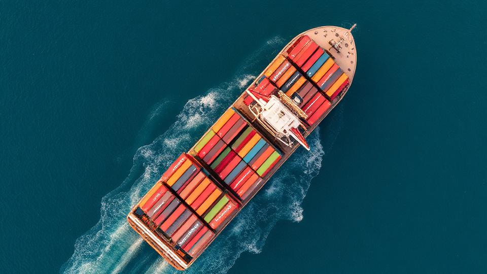 EUDR em Vigor: Como o Regulamento Europeu Impacta Exportadores Brasileiros